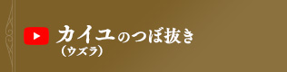 カイユ（ウズラ）のつぼ抜き方法