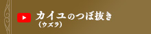 カイユ（ウズラ）のつぼ抜き方法