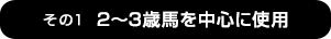 2〜3歳馬を中心に使用