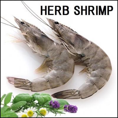 ハーブシュリンプ有頭バナメイ海老2l 26 30尾 取扱商品 さいたまの鶏肉専門卸売り問屋 とりつう株式会社